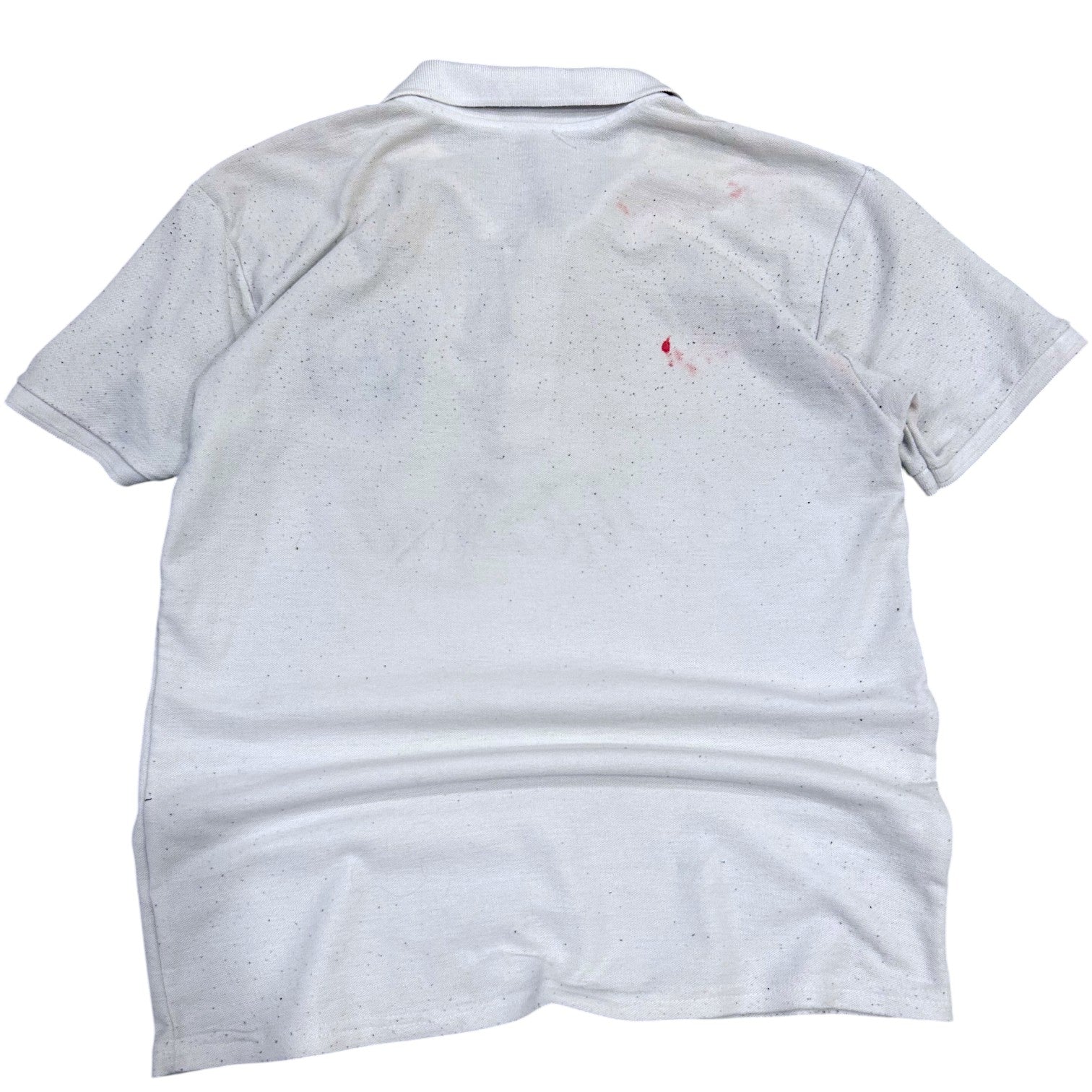 Signed by Her Polo